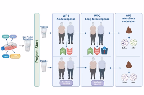 Probiotics, satiety and gut microbiota