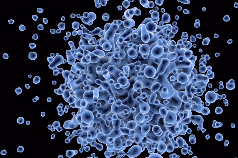 cell therapy