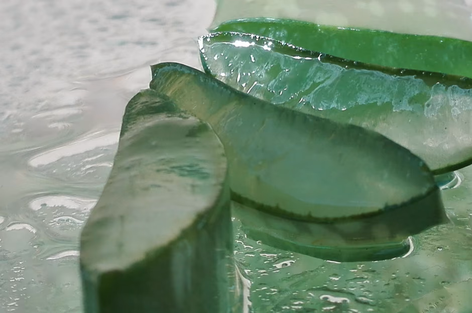Aloe Vera Polysaccharides