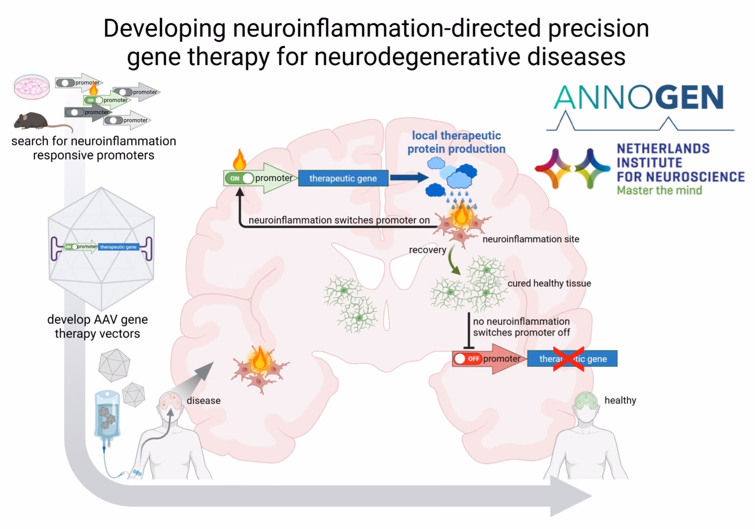 Developing self-regulating gene therapy for neurodegenerative diseases