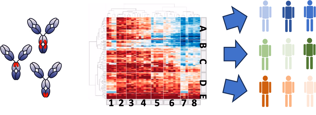 Unraveling the Rheumatoid Factor autoantibody repertoire profile preceding disease onset