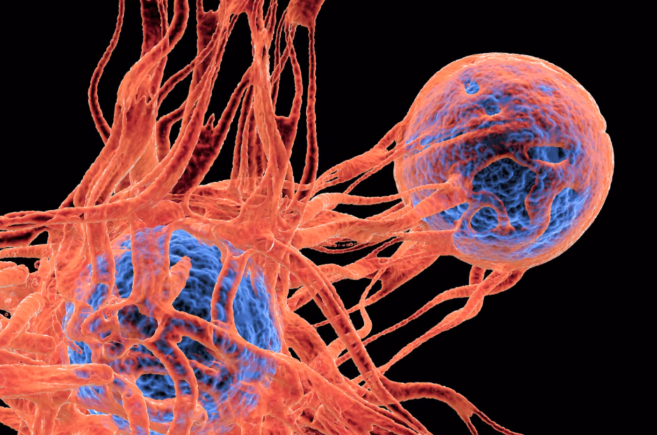 Transcriptomic Overview of Target Antigens through Leukapheresis gathered Circulating Tumour Cells