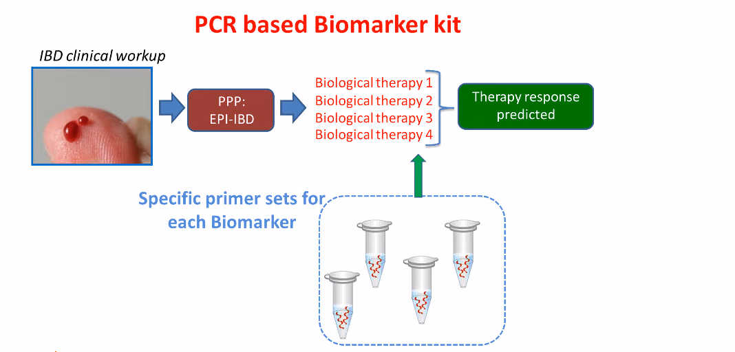 The development of predictive epigenetic biomarkers to guide successful IBD treatment