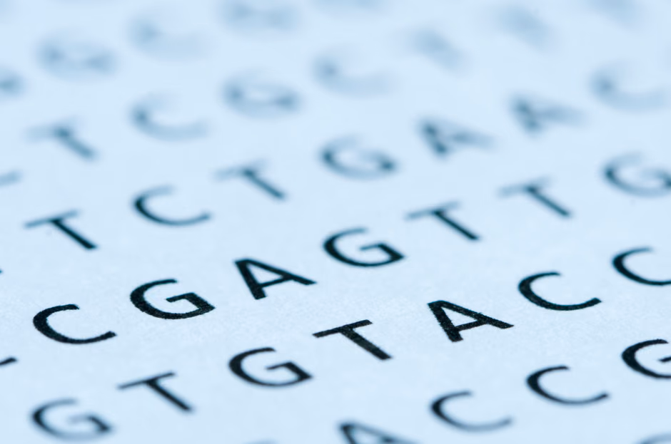 Technology for detection of 8-oxo-guanine modified DNA as biomarker for cancer diagnostics
