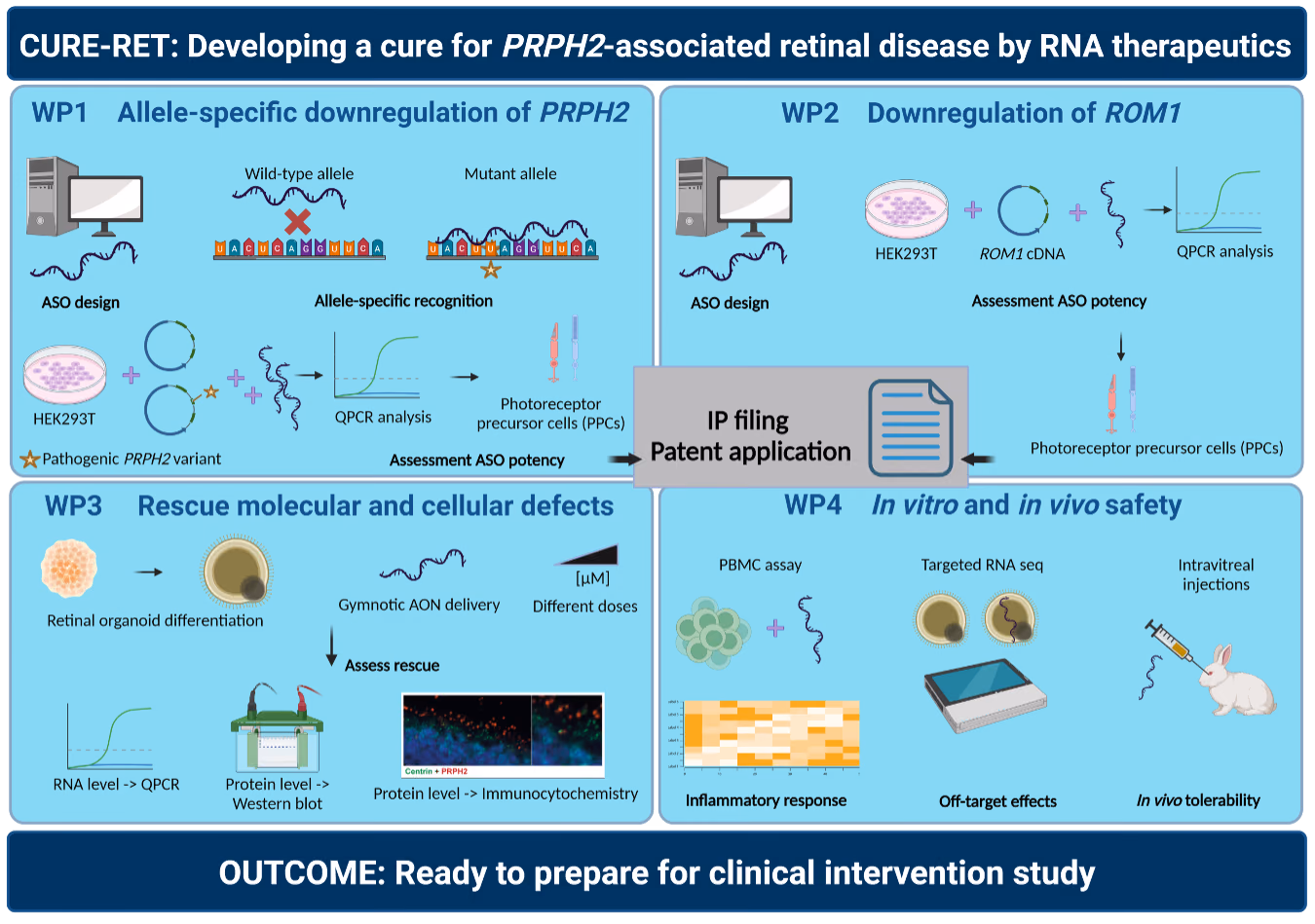 CURE-RET: Developing a cure for PRPH2-associated retinal disease by RNA therapeutics