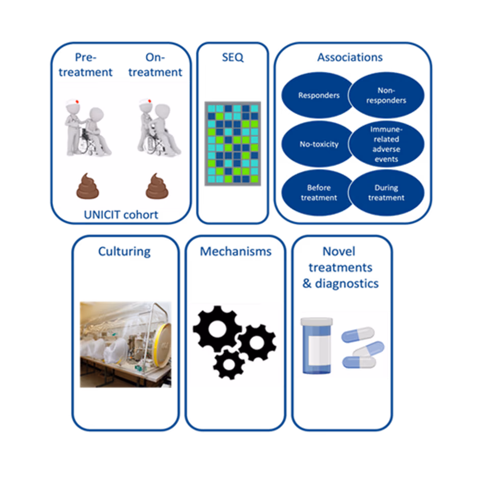 Harnessing the microbiota to improve checkpoint inhibitor cancer therapy (HARNESS)