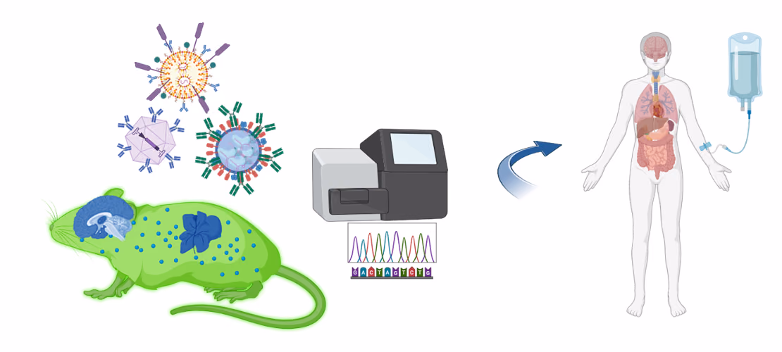 FluoCODE: a Fluorescence-based platform to optimize Cell- and Organ-specific Delivery of gene Editors