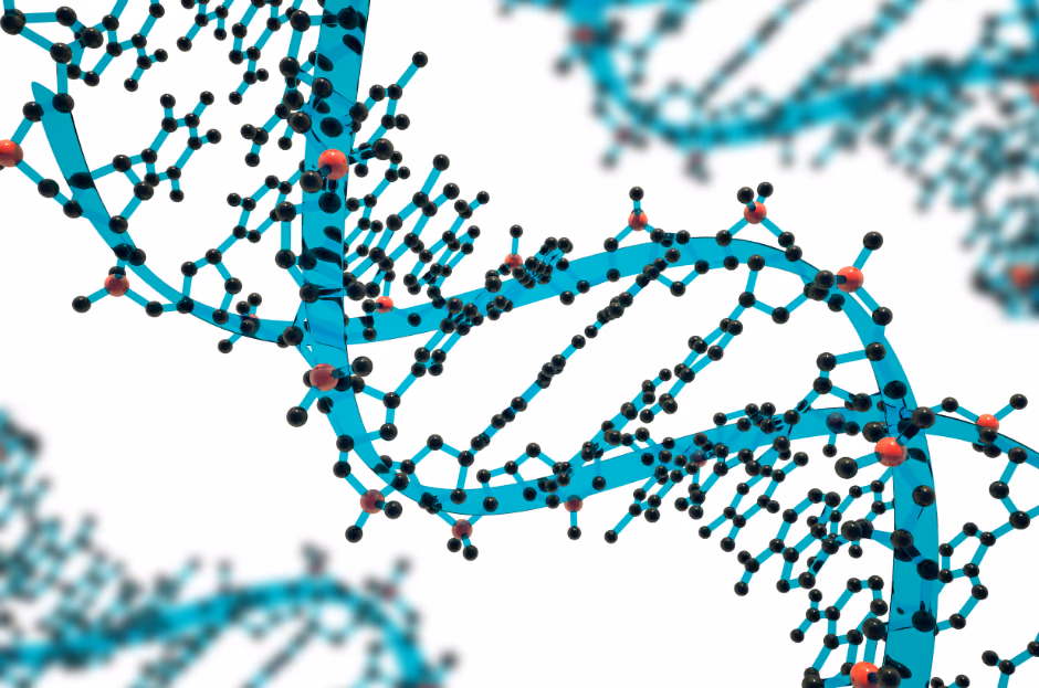 GET VALIDATION: GEne Therapy - VALidation of Individualized Dose, Auto-immunity and Therapeutic effect wIth OligoNucleotides