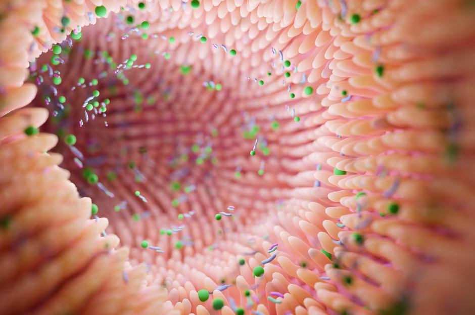 Measurement of gut health-mediated resilience: combining gut microbiome measurement and phenotypic flexibility to understand health effects by microbiome modulations via prebiotic fibers