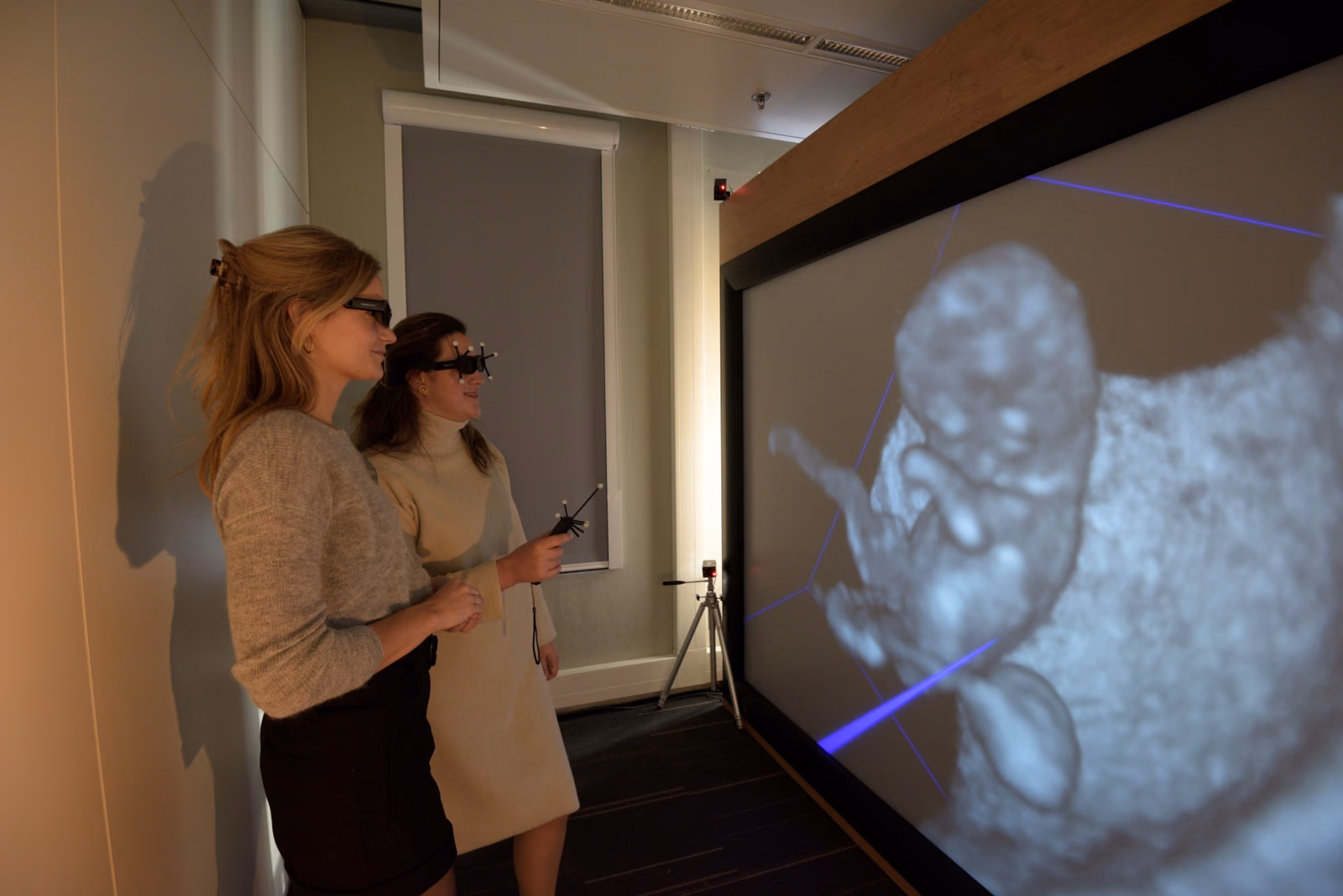 Towards Fully automated Anomaly Screening in the first Trimester of pregnancy using Artificial Intelligence (FAST-AI)