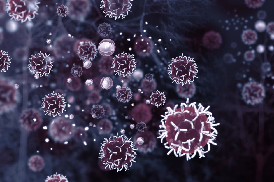 Engineered IgA to activate (suppressor) neutrophils to treat cancer
