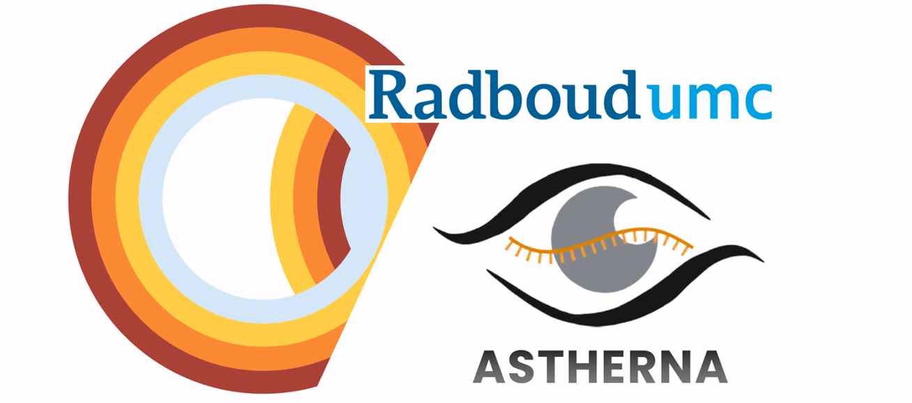 Rabbit Eyes for AON-induced TOXicity evaluation (RETOX)