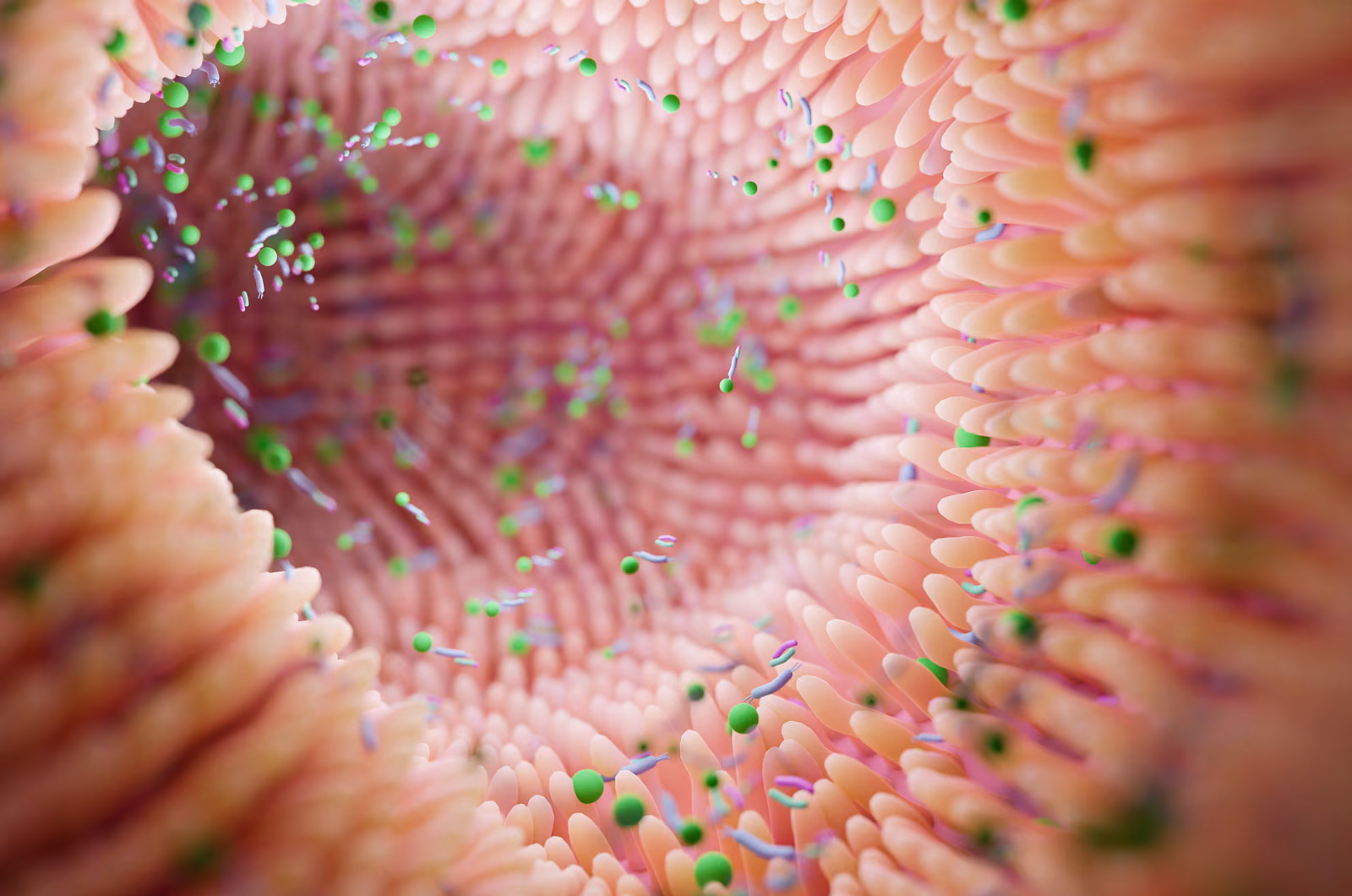 MNEON, the Microbiome in the Neonatal intestine related to intestinal failure and health
