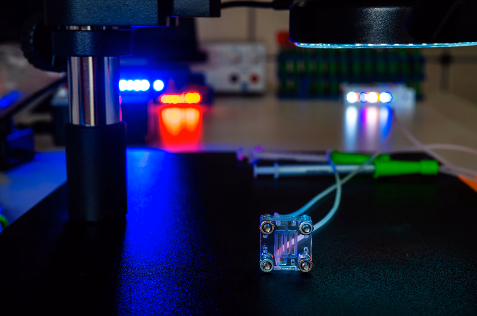 CEREBRIS: studying the vasculature of the brain in stroke using an organ-on-a-chip approach