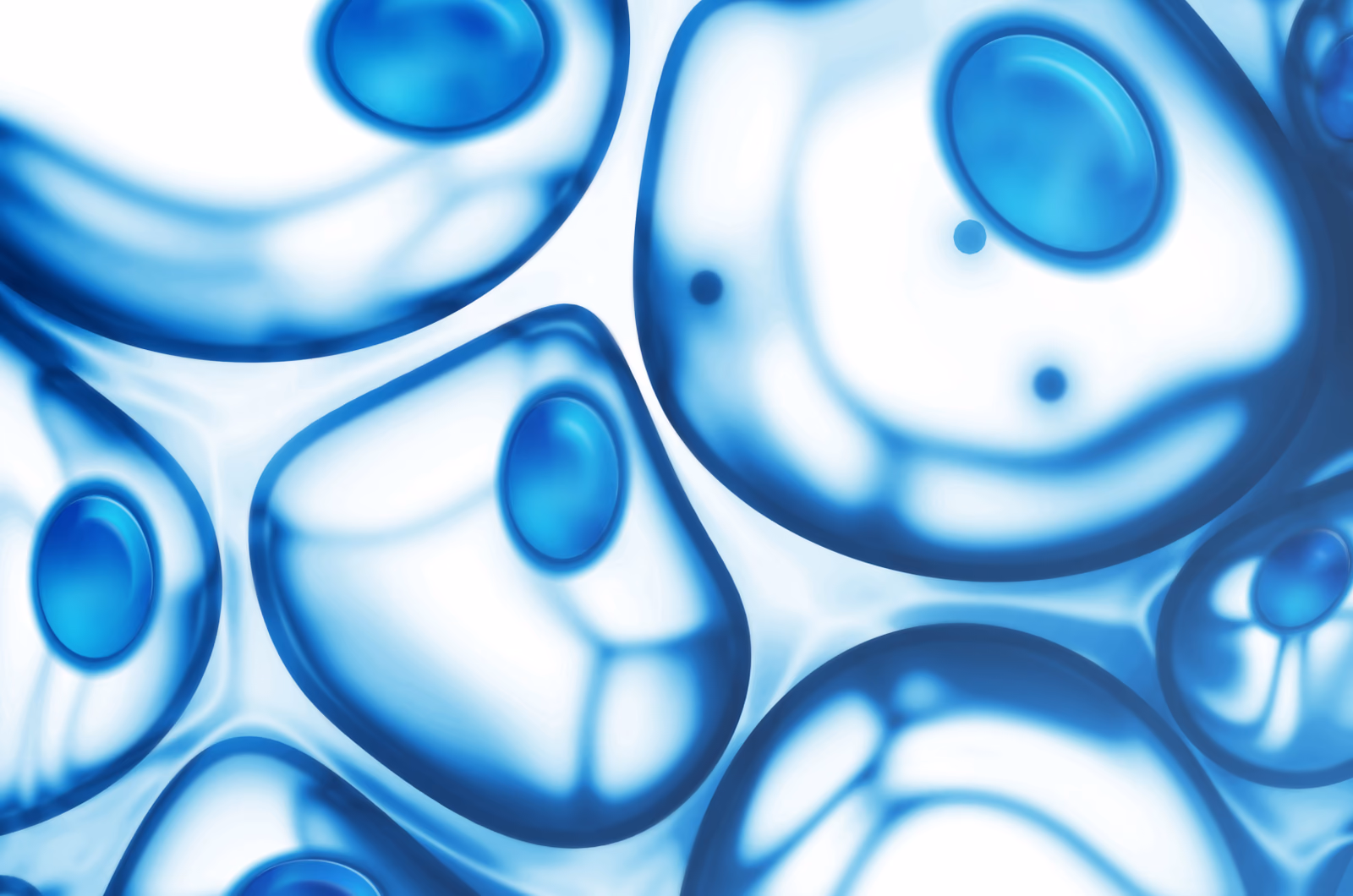 Identification of detrimental functions of senescent cells in human inflammatory diseases