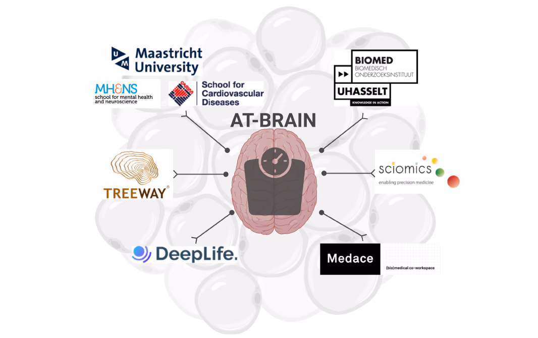 AT-BRAIN: The adipose tissue – brain axis as an inflammatory link between obesity and Alzheimer’s Disease