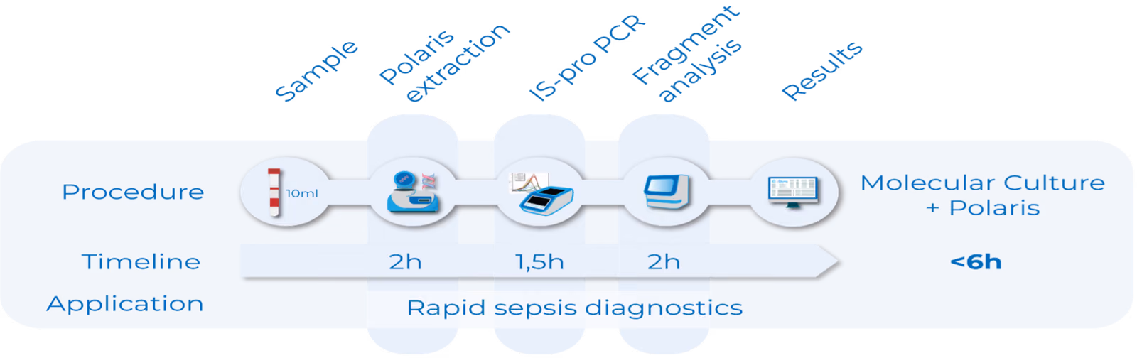 Rapid diagnosis of sepsis