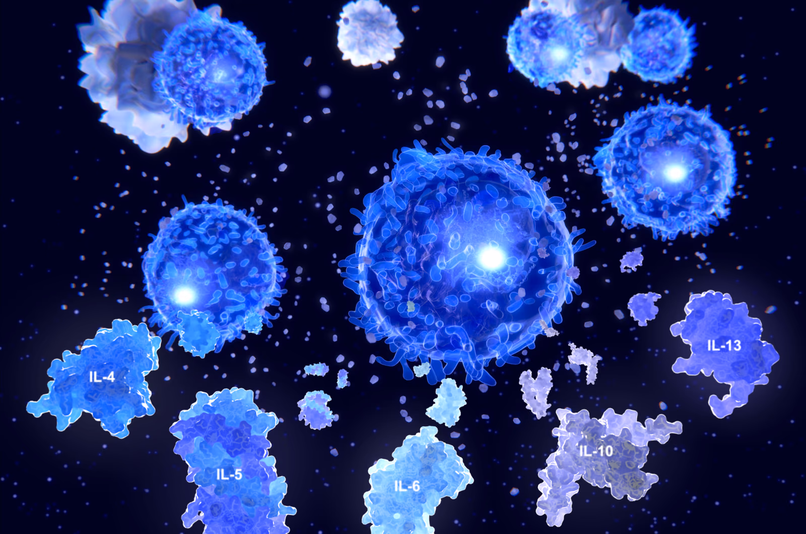 Migration and recruitment of healthy immune cells and engineered T cells to leukemic bone marrow [Immune2 ALL]