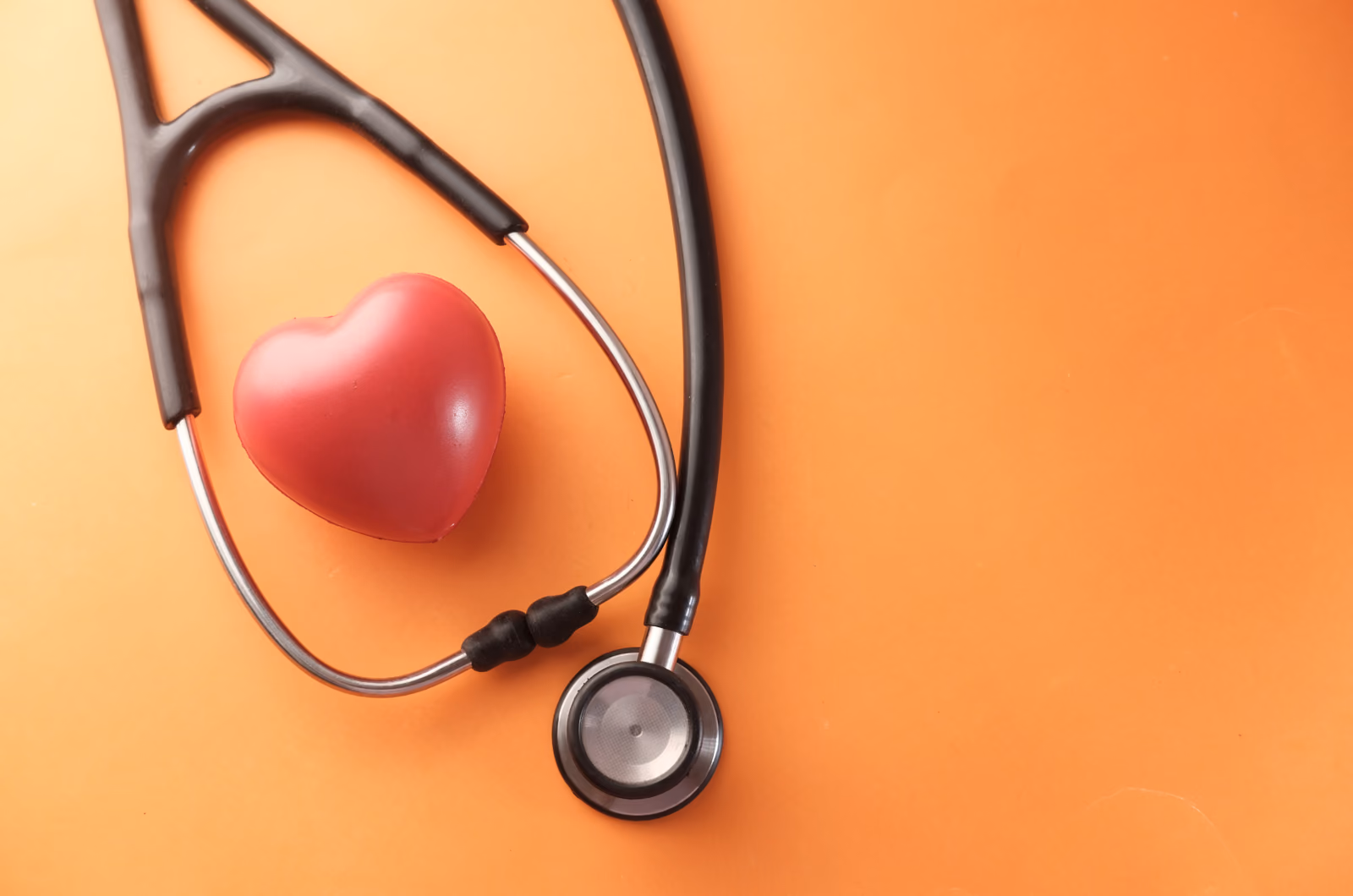 Solving the Inverse Problem of Electrocardiography