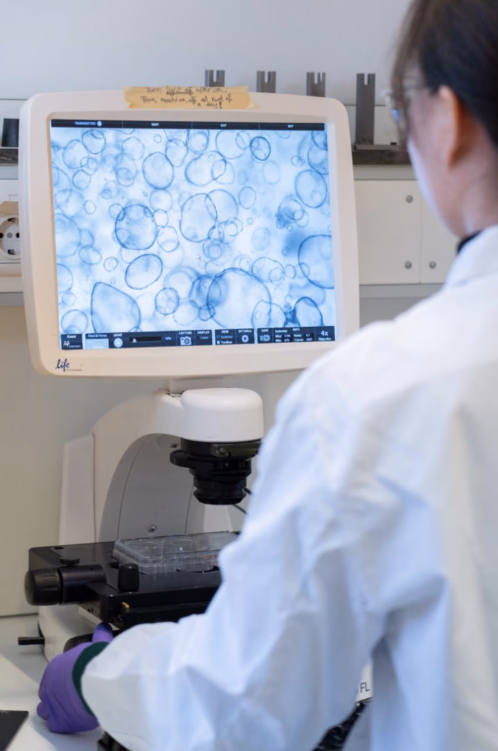 Translating Organoid technology towards a Clinical Application