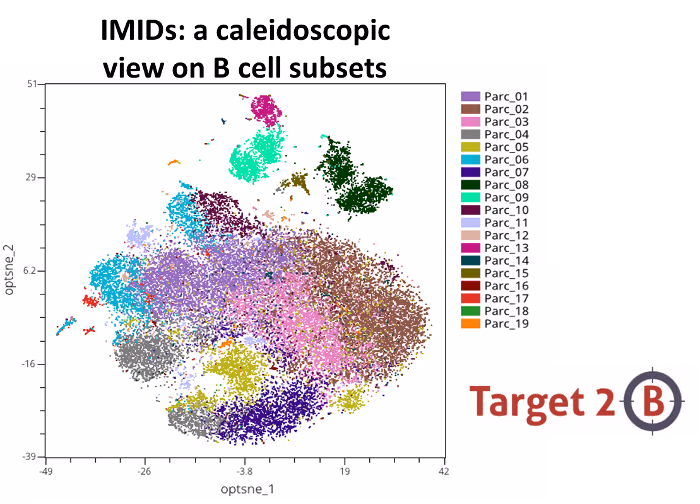 4. Target to B! - Towards patient-tailored immunotherapy to effectively treat B-cell associated disease