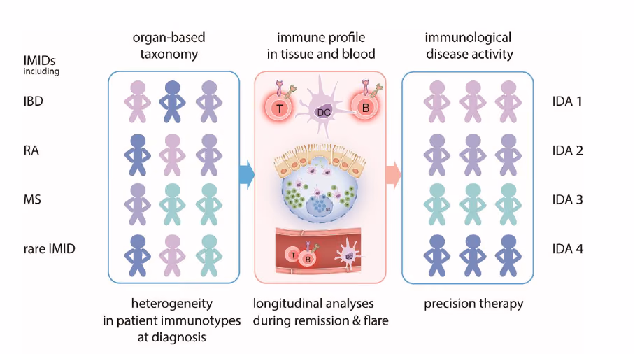 ImmuneHealthSeed: Determining immune profiles of patients with Immune Mediated Inflammatory Diseases for immune-targeting medicines.