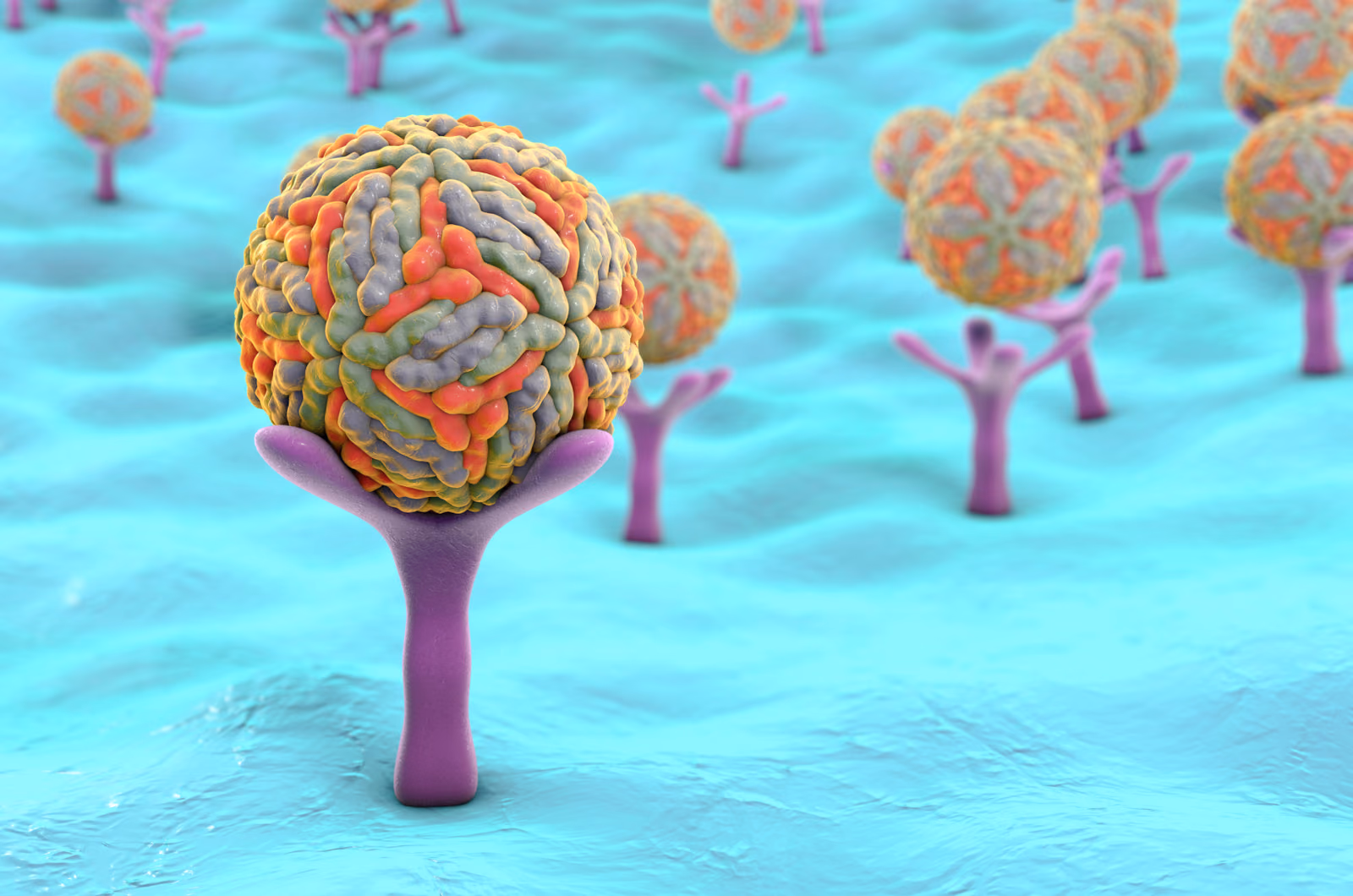 Targeting the glyco-immune checkpoint receptor Siglec-10 for immune regulation