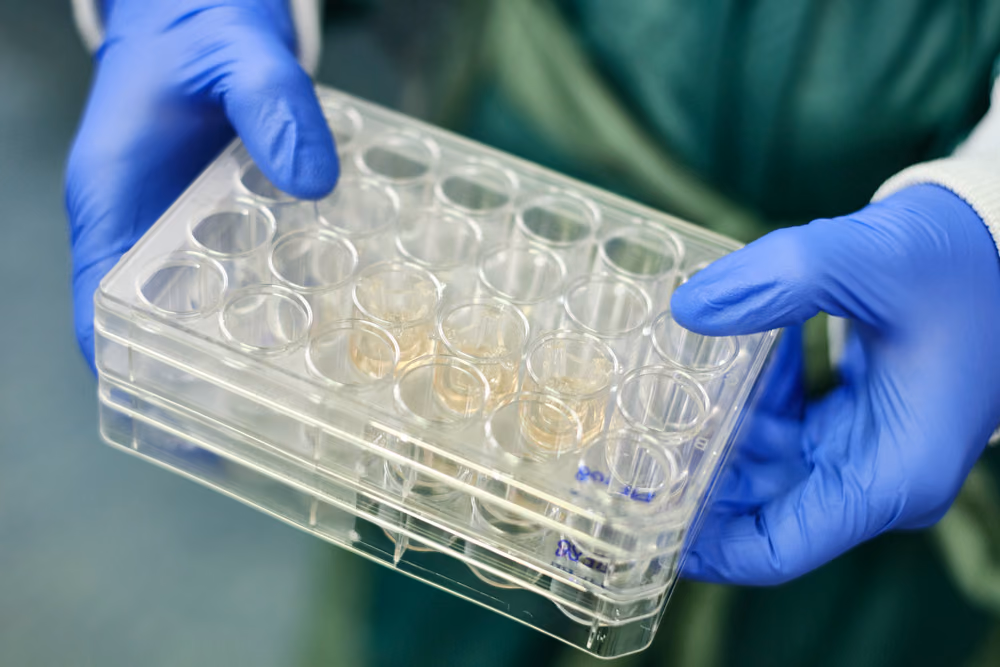 ADVOCATE: Advanced complexity in human derived organoid models for virology