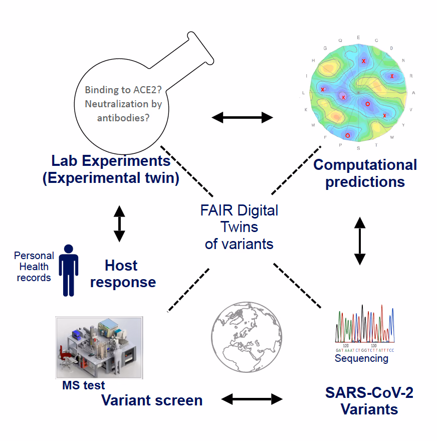 Rapid SARS-CoV-2 detection and variant characterization using mass spectrometry coupled to AI predictions of variants of high risk: Staying ahead of the virus (STAYAHEAD)