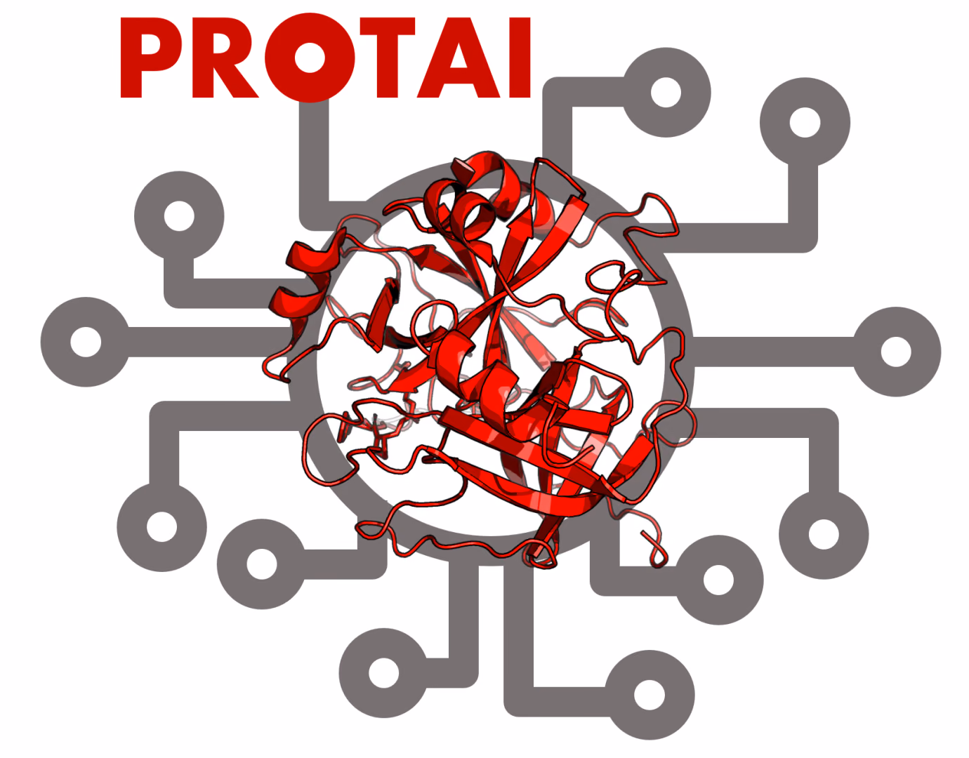 Protai
