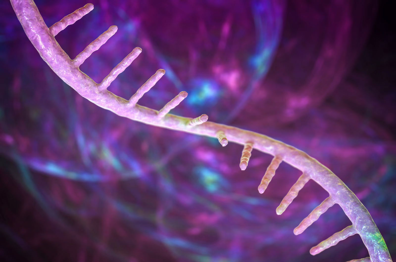 Developing microRNA based therapy for Amyotrophic lateral sclerosis