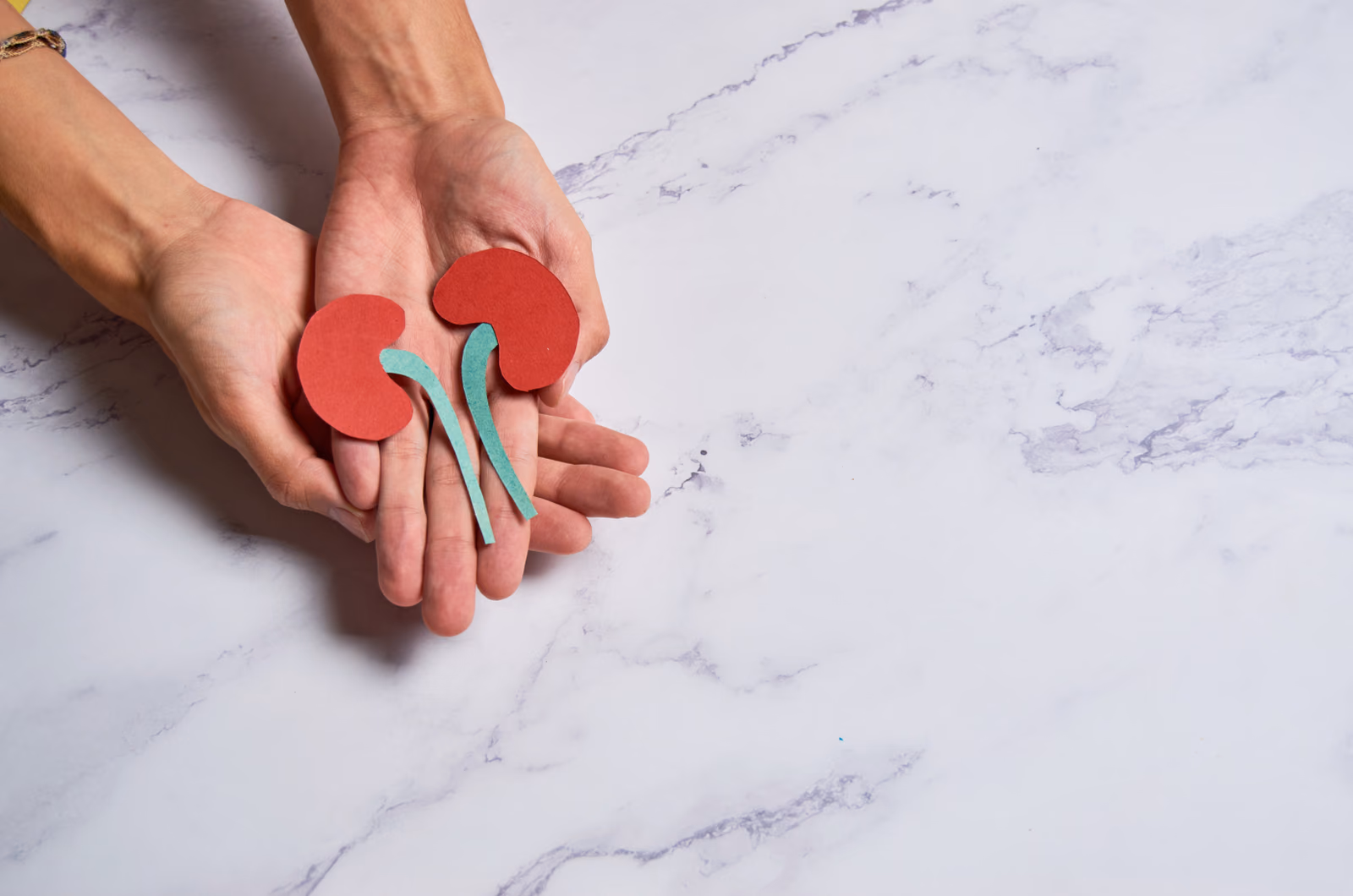 Novel diagnostics to match donors and recipients for organ transplantation