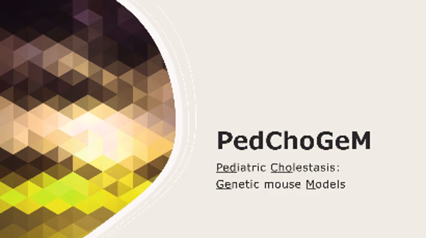 Pediatric cholestatic diseases: Genetic models (PedChoGeM)