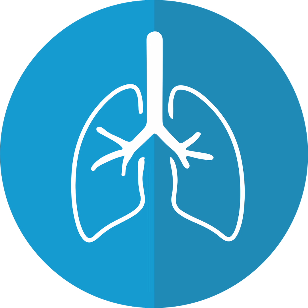 To identify the molecular and epigenetic changes underlying the disease pathology of COPD on a single cell level