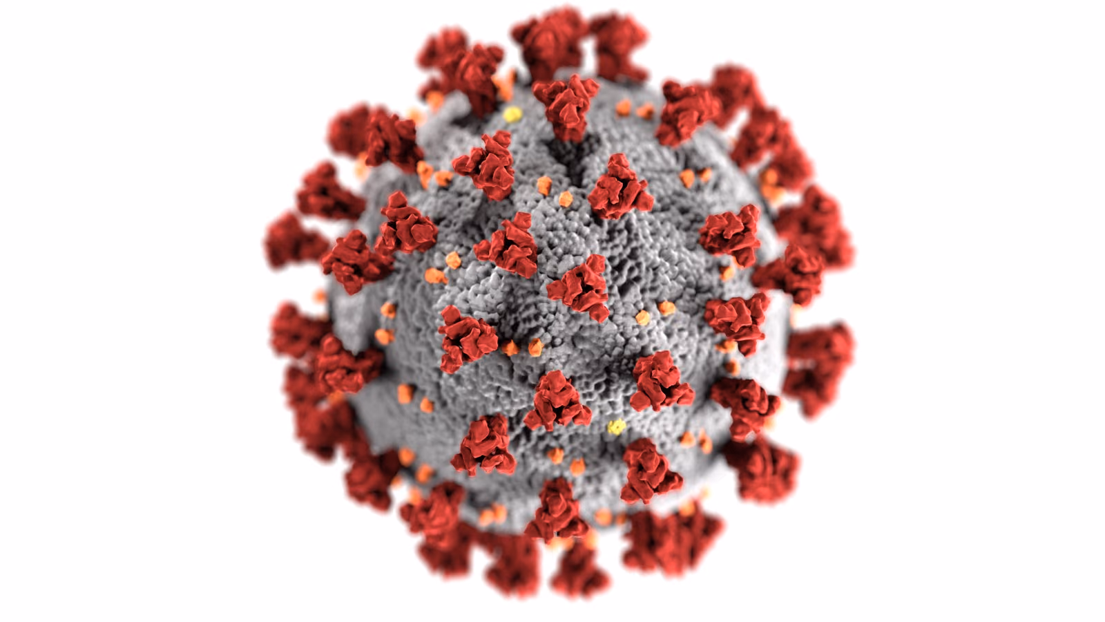 Aerosols and viral transmission, practical interventions by ventilation and air cleaning: the CLAIRE project
