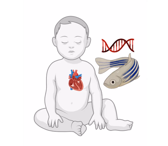 Identification of therapeutic targets for rare metabolic disorders in zebrafish (MetaFish)