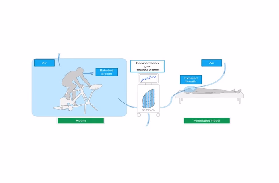 Non-invasive continuous gut microbial fermentation measurement for health and disease - IMAGINE Project