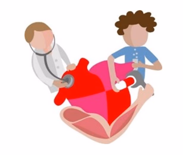 PROof-of-concePt for a human hEaRt model to test patient-specific THERAPY-responsiveness. Acronym: Proper-Therapy