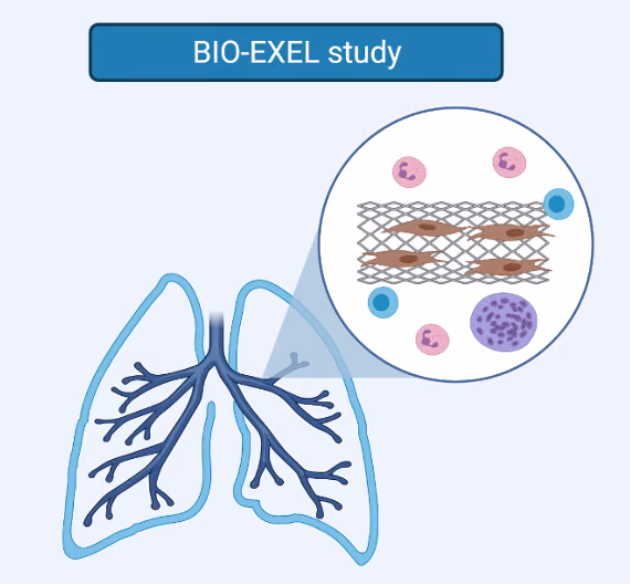 Biological Investigation Of Explanted Endobronchial Lung devices (BIO-EXEL) cohort and in vitro studies