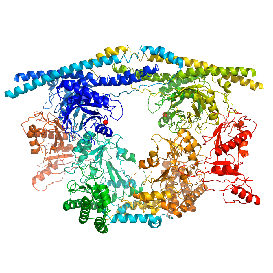 Metallodubi - tools to study ubiquitin metalloprotease activity