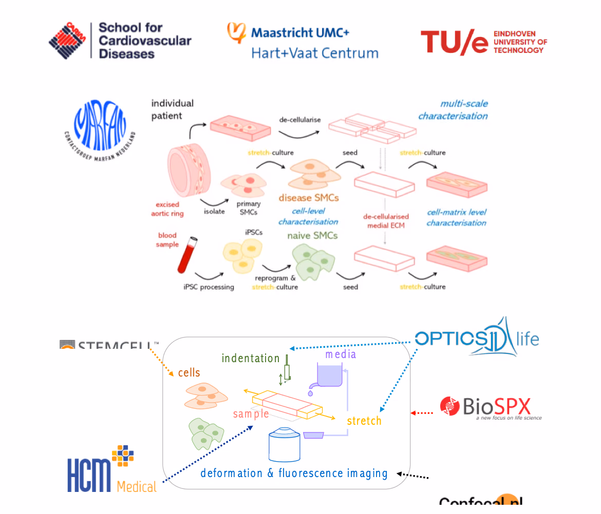 Platform for characterisation of cellular system dynamics for tissue disease stageing and programming for repair – CELLSYSTEMICS