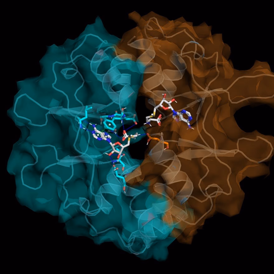 Allosteric activators of Cystathionine-β-synthase as novel therapeutic agents providing hydrogen sulfide therapy