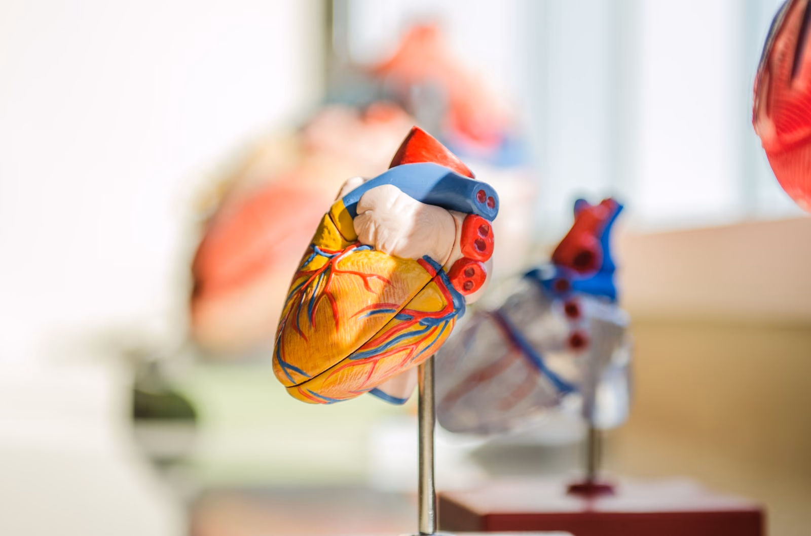 Magnesium supplementation and arterial stiffness