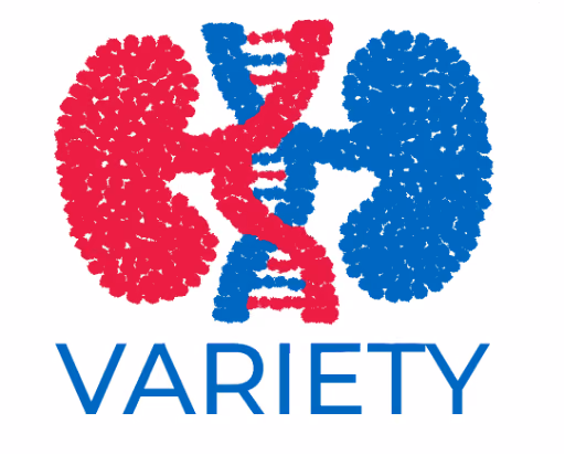 Validation of diagnostic algorithms and identification of novel genes in young patients with unknown primary renal disease (VARIETY)