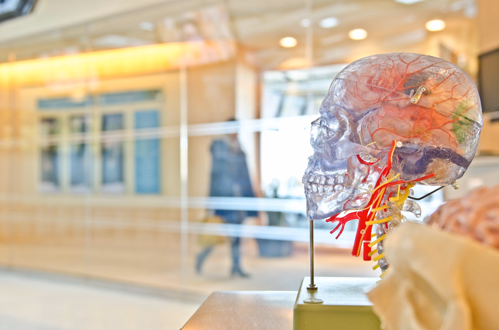 Development and evaluation of a portal for interdisciplinary communication and collaboration in home rehabilitation after stroke.