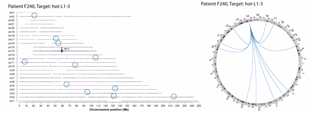 Target:SVs - Targeted detection and functional characterisation of chromosomal breakpoint structural variants in colorectal cancer: advancing towards biomarker assay development