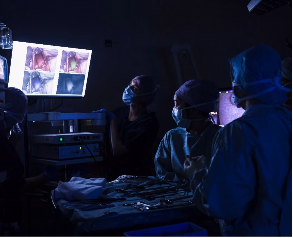 Real time mUltimodaL and multidisciplinary pERfusion imaging: the RULER project.
