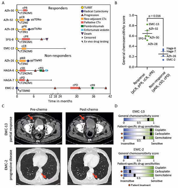 Ex vivo drug testing for advanced bladder cancer to predict treatment efficacy: EVITA.
