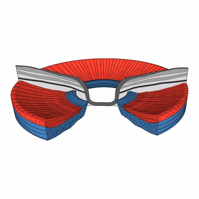 Light tissue interactions in ophthalmology