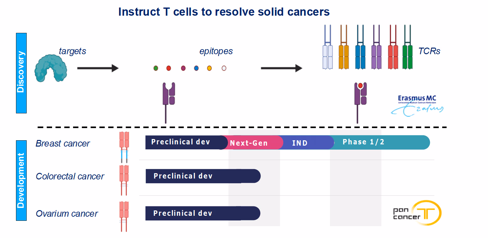 T-cells act against hard-to-treat cancers (T-ACT)